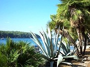 Lussino 